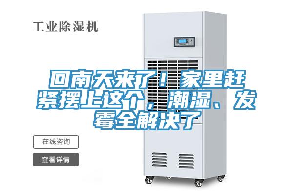 回南天來了！家里趕緊擺上這個，潮濕、發霉全解決了