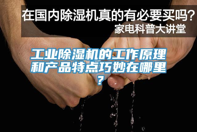工業除濕機的工作原理和產品特點巧妙在哪里？