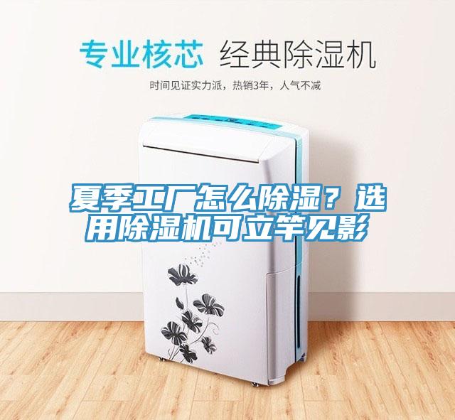 夏季工廠怎么除濕?選用除濕機可立竿見影