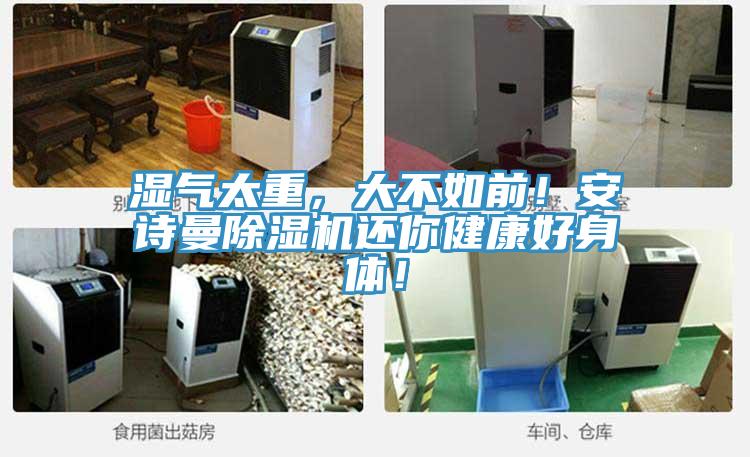 濕氣太重，大不如前！安詩曼除濕機還你健康好身體！