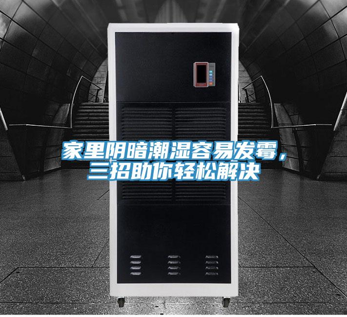 家里陰暗潮濕容易發霉,三招助你輕松解決