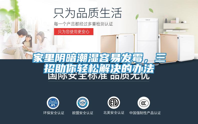 家里陰暗潮濕容易發霉,三招助你輕松解決的辦法