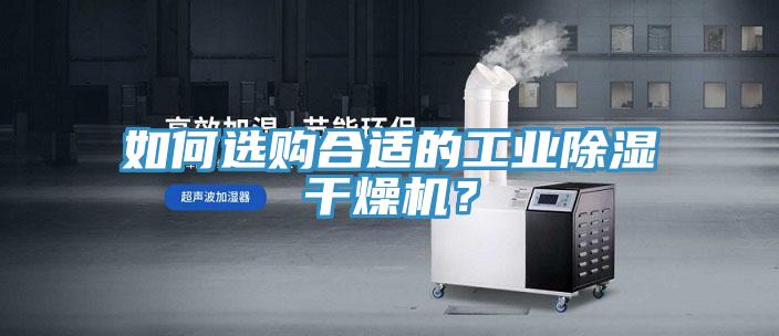 如何選購合適的工業除濕干燥機？