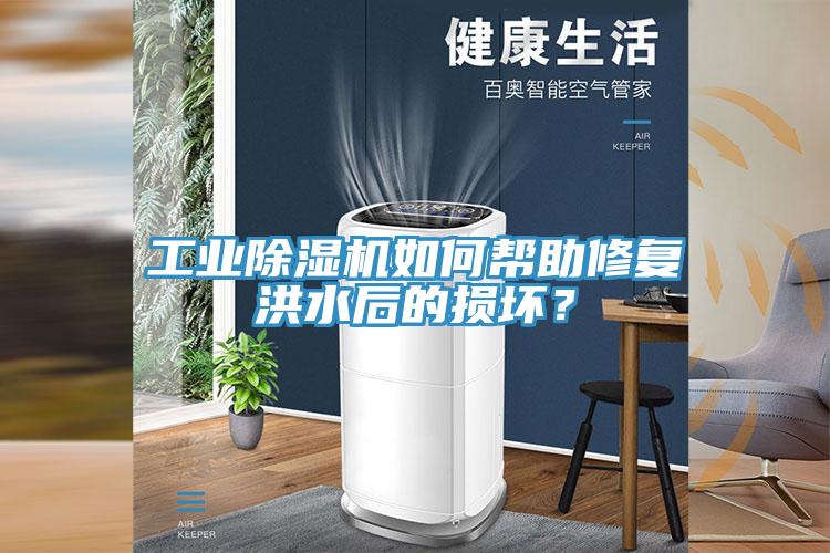 工業除濕機如何幫助修復洪水后的損壞？
