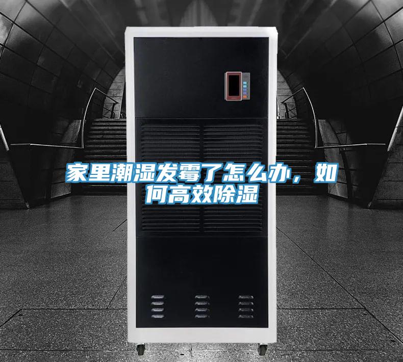 家里潮濕發霉了怎么辦，如何高效除濕