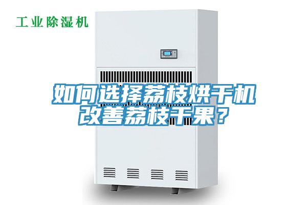 如何選擇荔枝烘干機改善荔枝干果？
