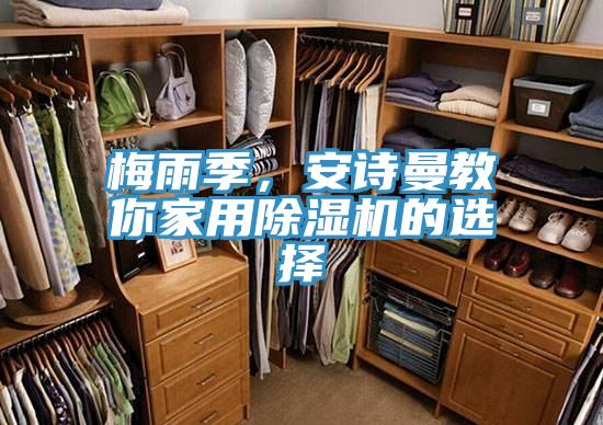 梅雨季，安詩曼教你家用除濕機的選擇