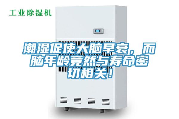 潮濕促使大腦早衰，而腦年齡竟然與壽命密切相關！