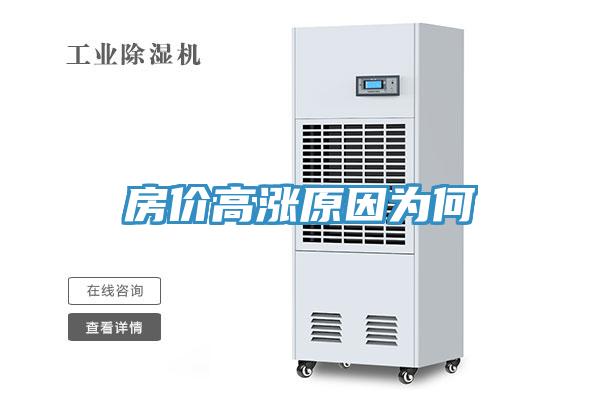 房價(jià)高漲原因?yàn)楹?></div>
								<div   id=