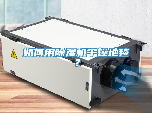 如何用除濕機干燥地毯？