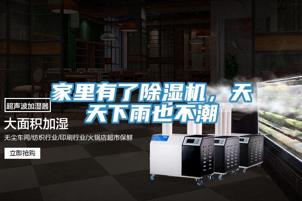 家里有了除濕機,天天下雨也不潮