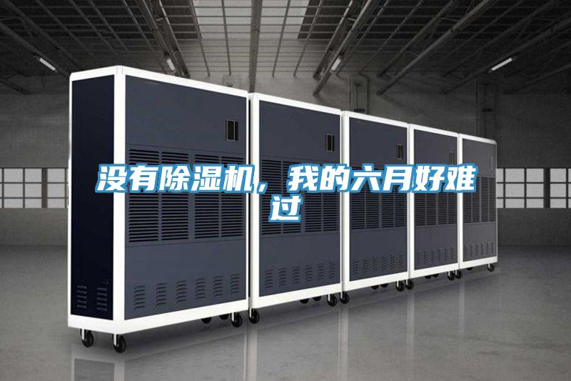沒(méi)有除濕機(jī)，我的六月好難過(guò)