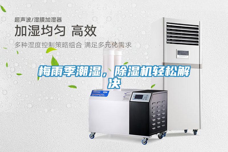 梅雨季潮濕,除濕機輕松解決