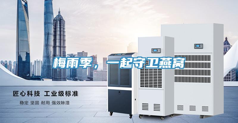 梅雨季,一起守衛燕窩