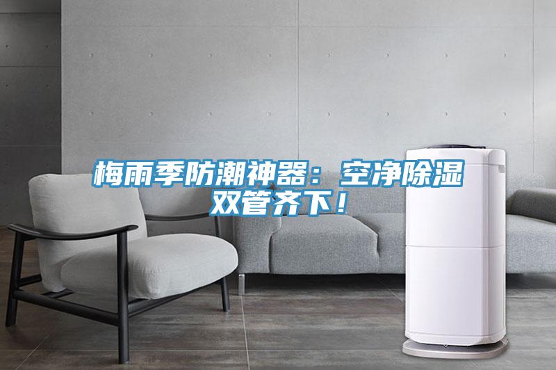 梅雨季防潮神器：空凈除濕雙管齊下！