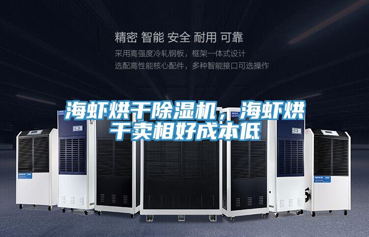 海蝦烘干除濕機,海蝦烘干賣相好成本低