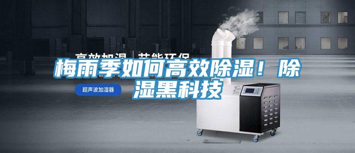 梅雨季如何高效除濕!除濕黑科技