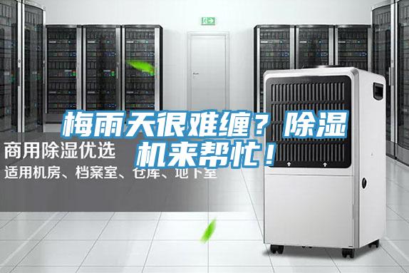 梅雨天很難纏？除濕機來幫忙！