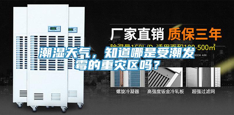 潮濕天氣，知道哪是受潮發霉的重災區嗎？