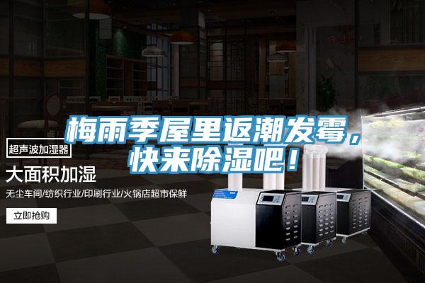 梅雨季屋里返潮發(fā)霉，快來除濕吧！