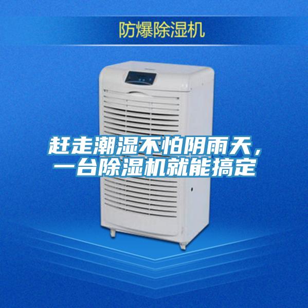 趕走潮濕不怕陰雨天，一臺除濕機就能搞定