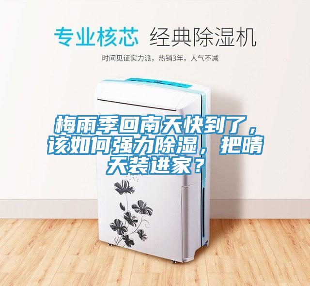 梅雨季回南天快到了，該如何強力除濕，把晴天裝進家？