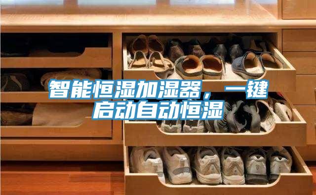 智能恒濕加濕器，一鍵啟動自動恒濕