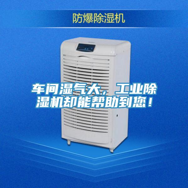 車間濕氣大，工業(yè)除濕機(jī)卻能幫助到您！