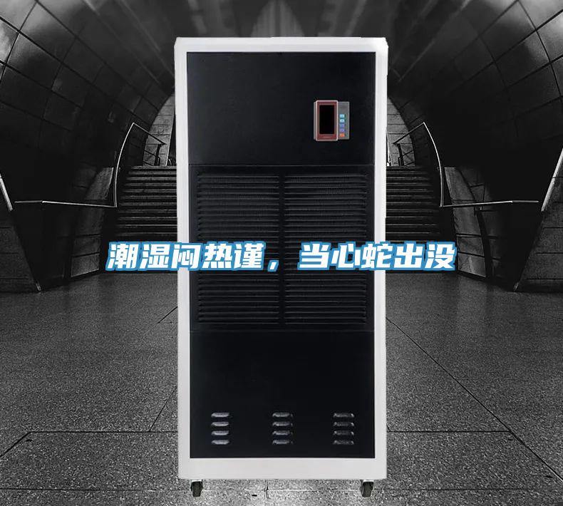 潮濕悶熱謹(jǐn)，當(dāng)心蛇出沒(méi)