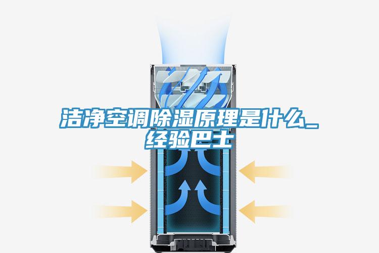 潔凈空調除濕原理是什么_經(jīng)驗巴士
