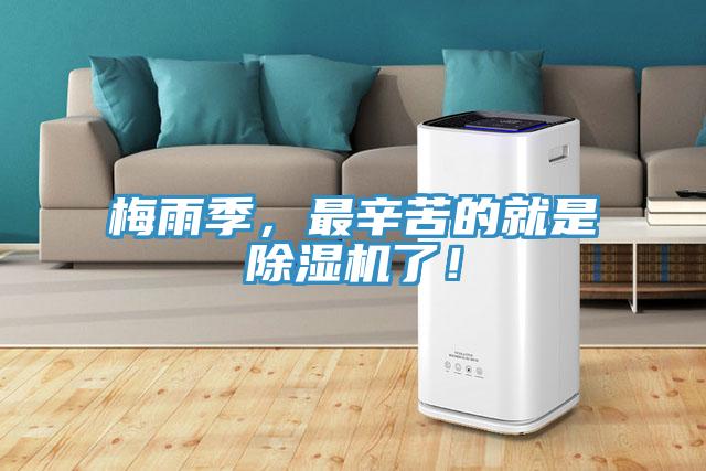 梅雨季,最辛苦的就是除濕機了!