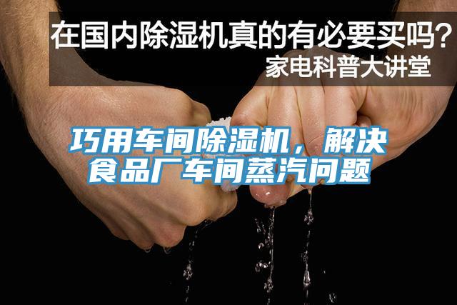 巧用車間除濕機，解決食品廠車間蒸汽問題