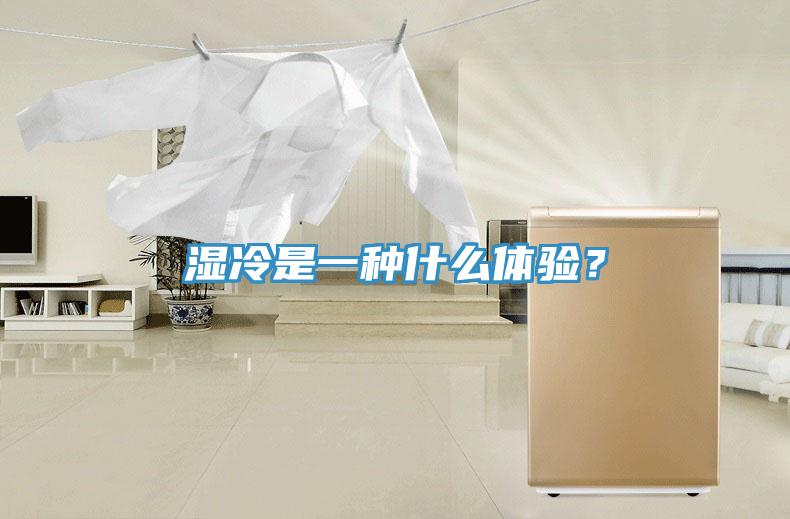 濕冷是一種什么體驗(yàn)?