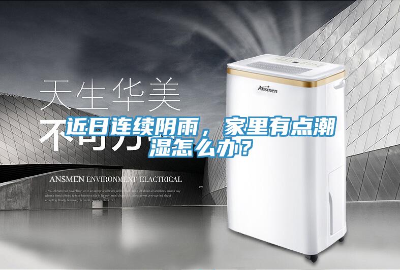 近日連續陰雨,家里有點潮濕怎么辦?