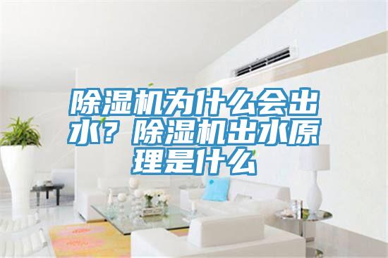 除濕機為什么會出水?除濕機出水原理是什么