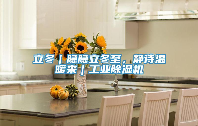 立冬｜隱隱立冬至，靜待溫暖來｜工業除濕機