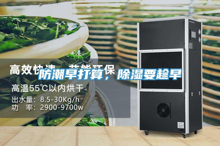 防潮早打算，除濕要趁早