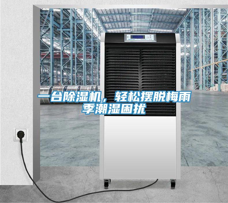 一臺除濕機,輕松擺脫梅雨季潮濕困擾