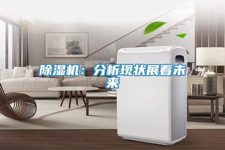 除濕機:分析現狀展看未來