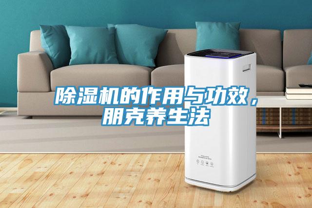 除濕機的作用與功效，朋克養生法