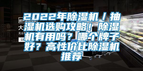 2022年除濕機(jī)/抽濕機(jī)選購(gòu)攻略!除濕機(jī)有用嗎?哪個(gè)牌子好?高性價(jià)比除濕機(jī)推薦