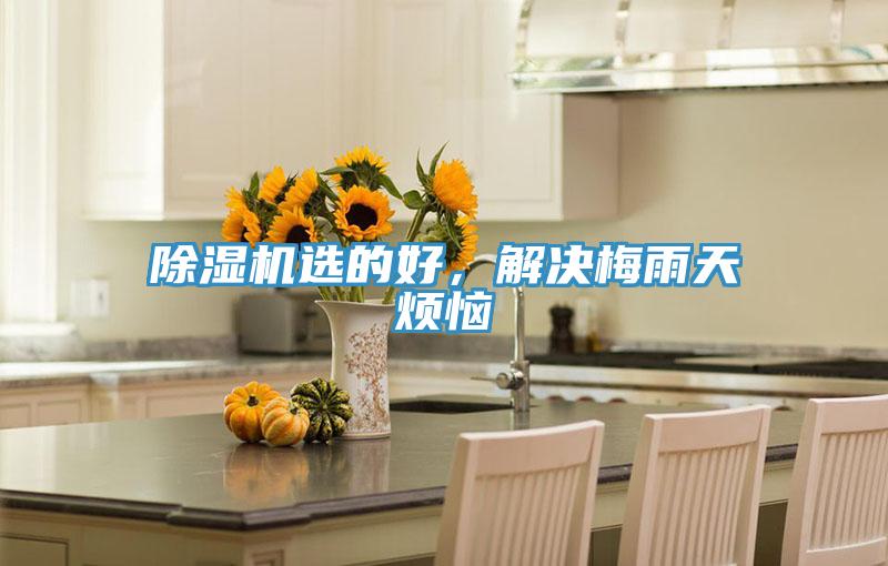 除濕機選的好，解決梅雨天煩惱