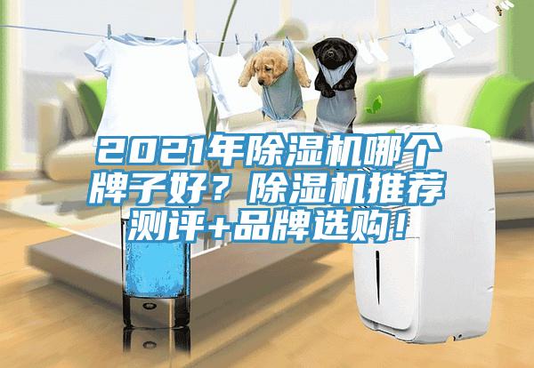 2021年除濕機哪個牌子好?除濕機推薦測評+品牌選購!