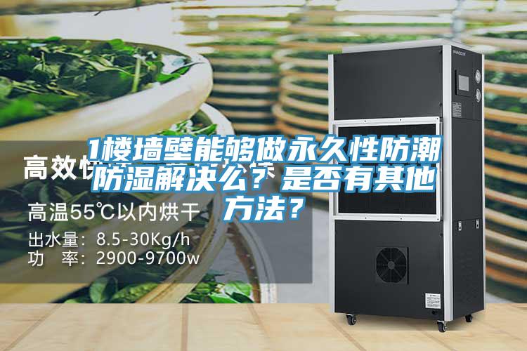 1樓墻壁能夠做永久性防潮防濕解決么？是否有其他方法？