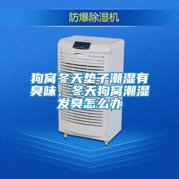 狗窩冬天墊子潮濕有臭味，冬天狗窩潮濕發臭怎么辦
