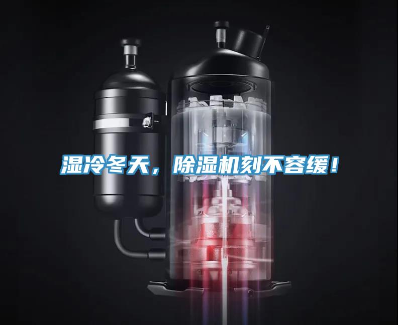 濕冷冬天,除濕機刻不容緩!