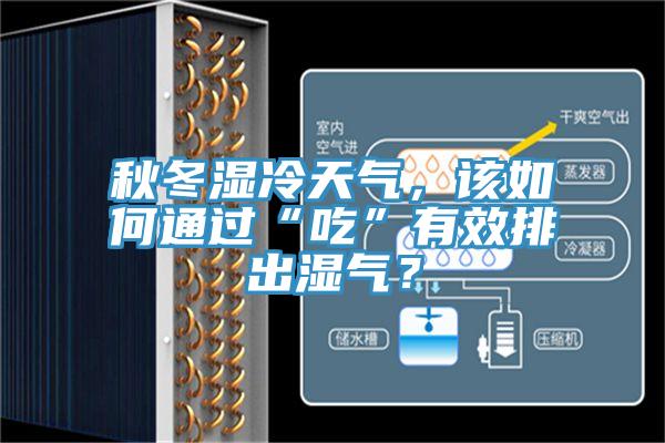 秋冬濕冷天氣,該如何通過“吃”有效排出濕氣?