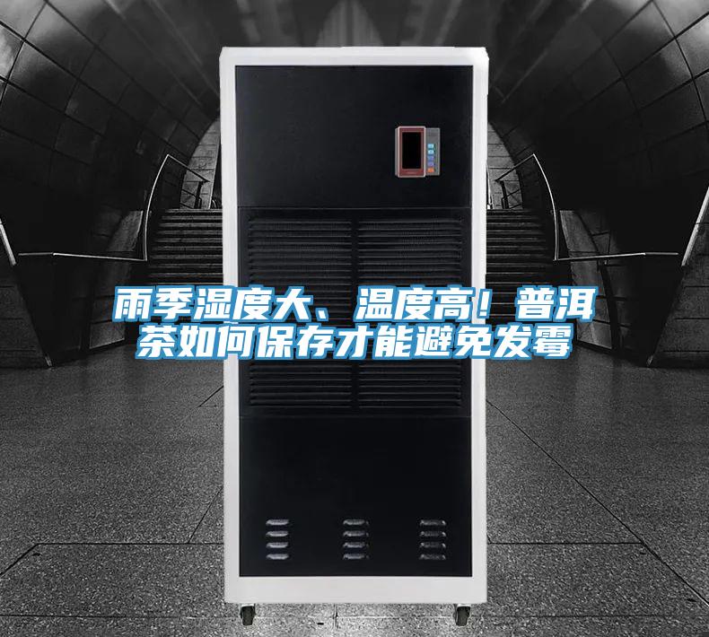 雨季濕度大、溫度高!普洱茶如何保存才能避免發霉