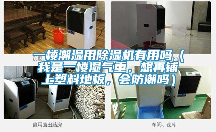 一樓潮濕用除濕機有用嗎(我是一樓濕氣重,想再鋪上塑料地板,會防潮嗎)