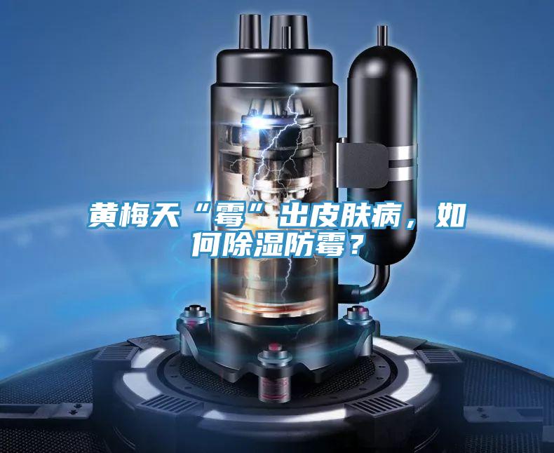 黃梅天“霉”出皮膚病,如何除濕防霉?